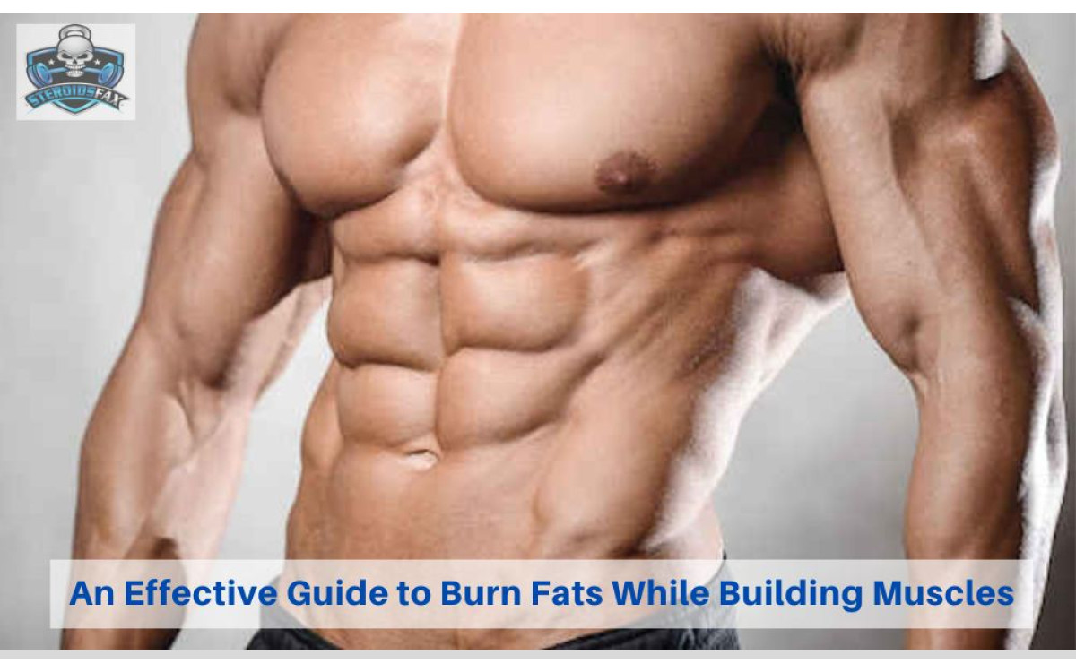 An Effective Guide to Burn Fats While Building Muscles