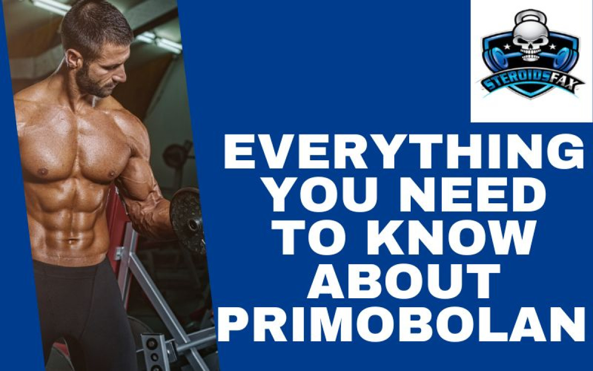 Everything you need to know about  Primobolan