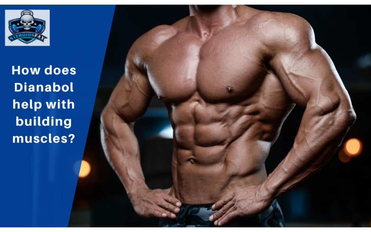 How does Dianabol help with building muscles?