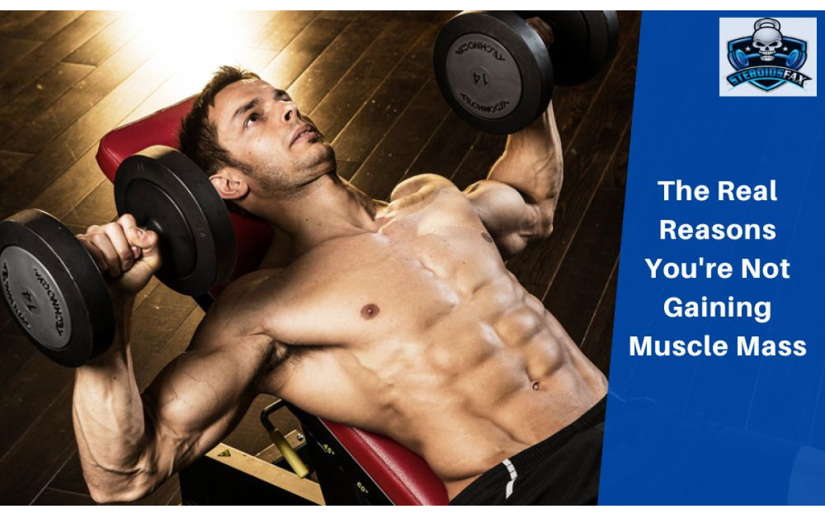The Real Reasons You're Not Gaining Muscle Mass
